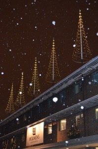 Flagpole Christmas tree with Light